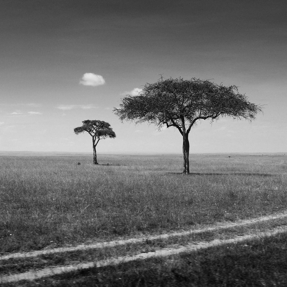 Photograph by Сергей Сережников