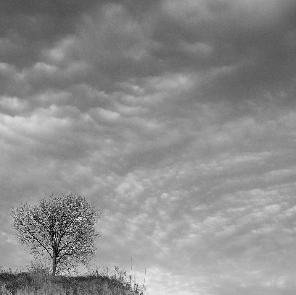 Photograph by Сергей Сережников