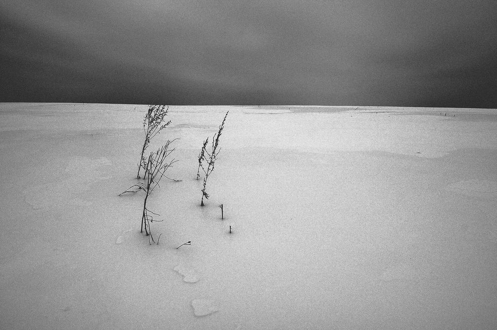 Photograph by Сергей Сережников