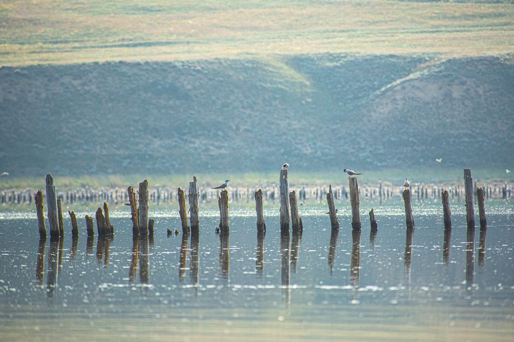 Photograph by Дмитрий Жижин