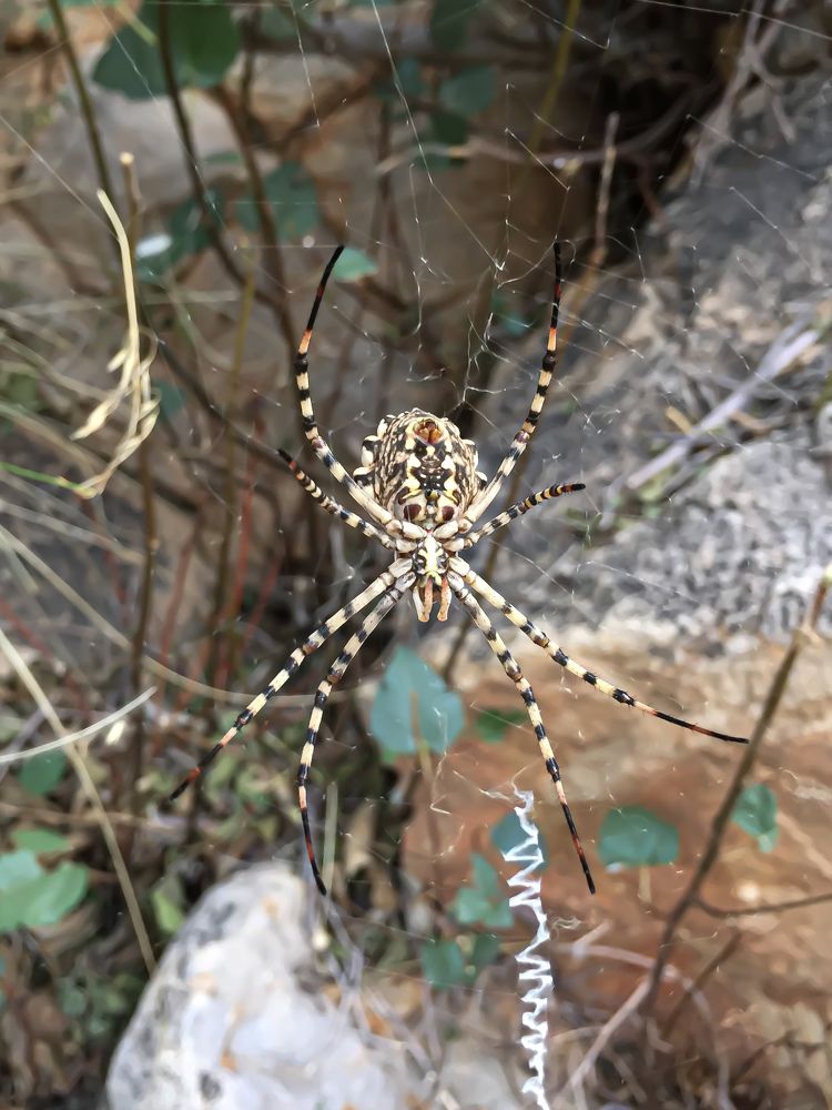 Photograph by najmeh hakimaei