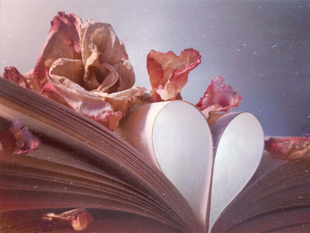 Photograph by Ольга