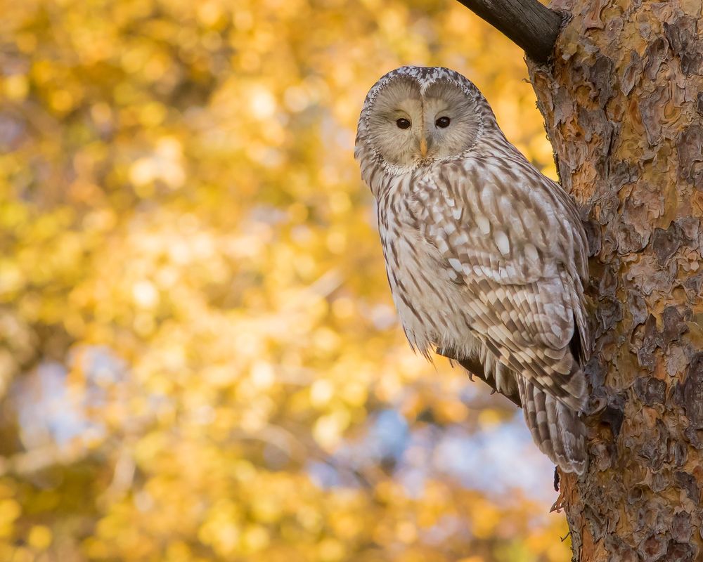 Фотография автора Суслов Дмитрий