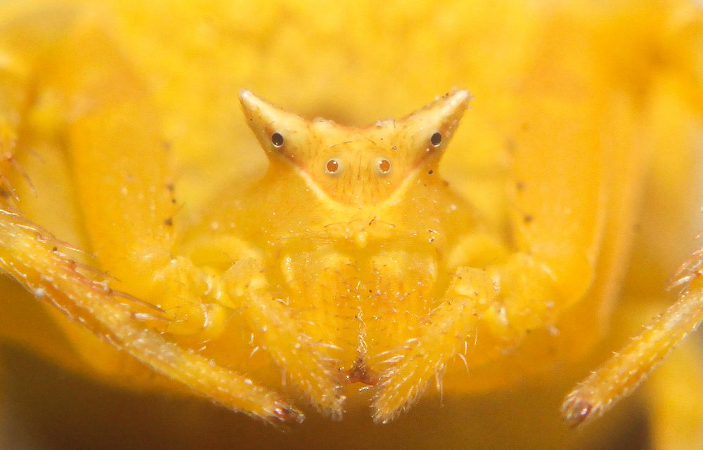 Photograph by Abdullah E Hamdi