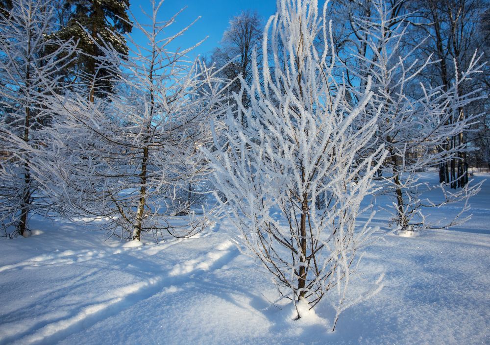 Фотография автора Eлена Пивнякова