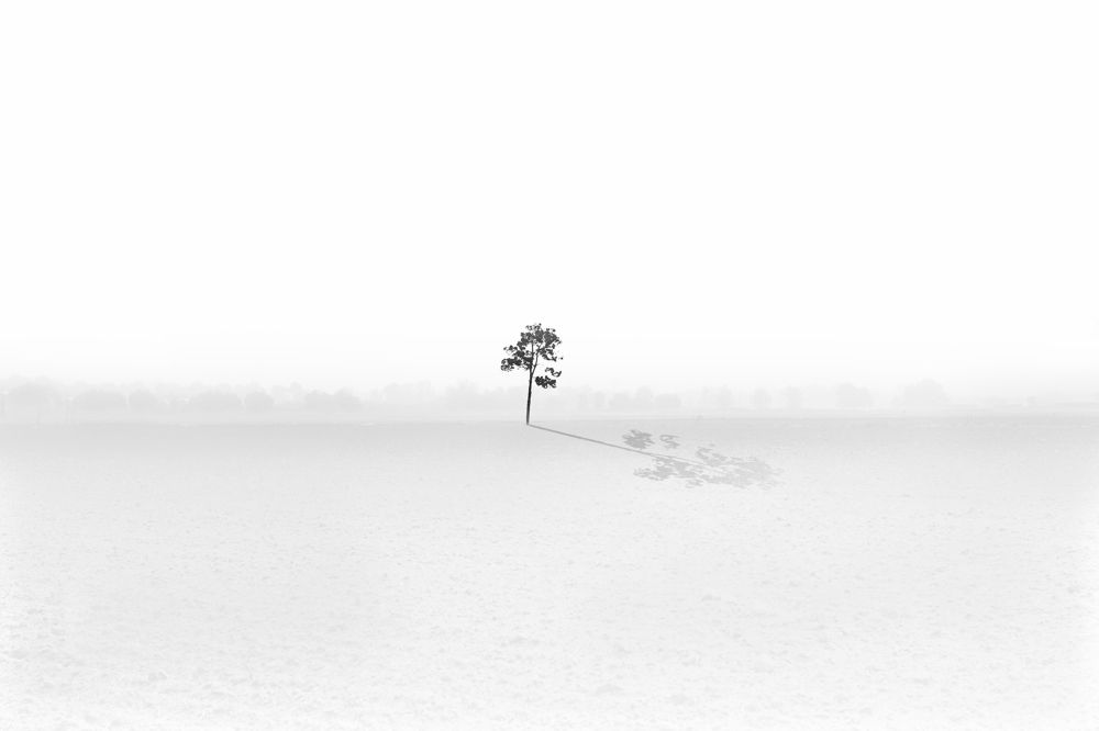 Фотография автора Shahram Hafezi