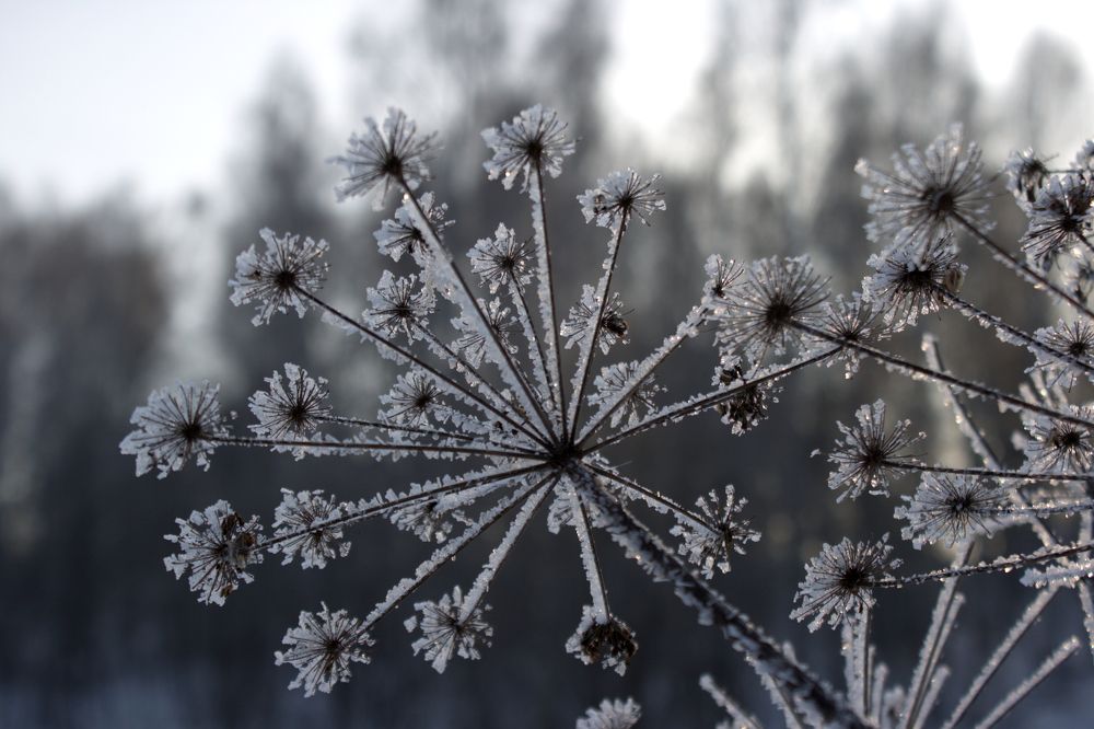 Photograph by Ирина Вассерлауф