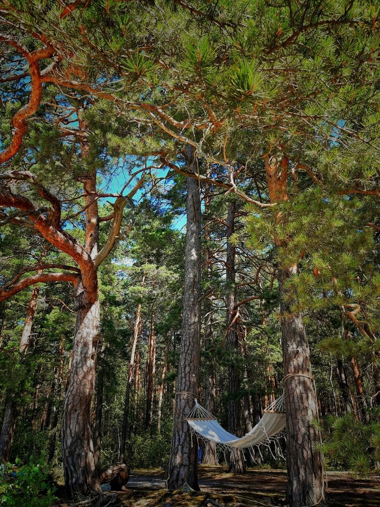 Photograph by Инесса Громова