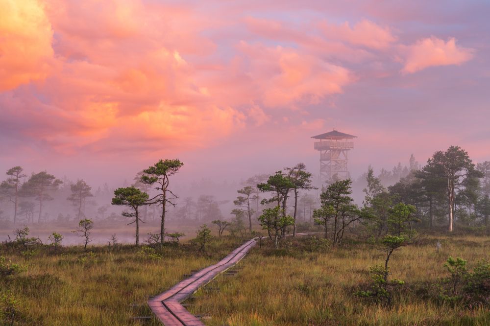 Фотография автора Katrin Lillenthal