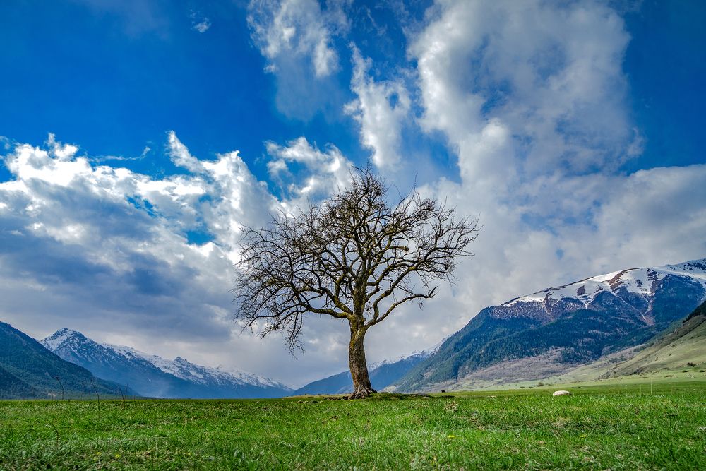 Photograph by Валерий Скуратов