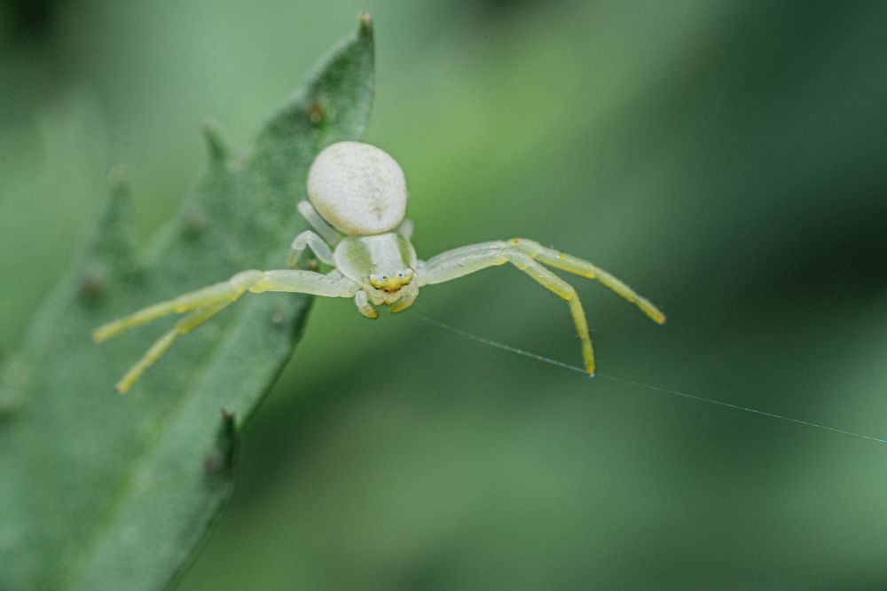 Photograph by БОРИС БЕЛКАНИЯ