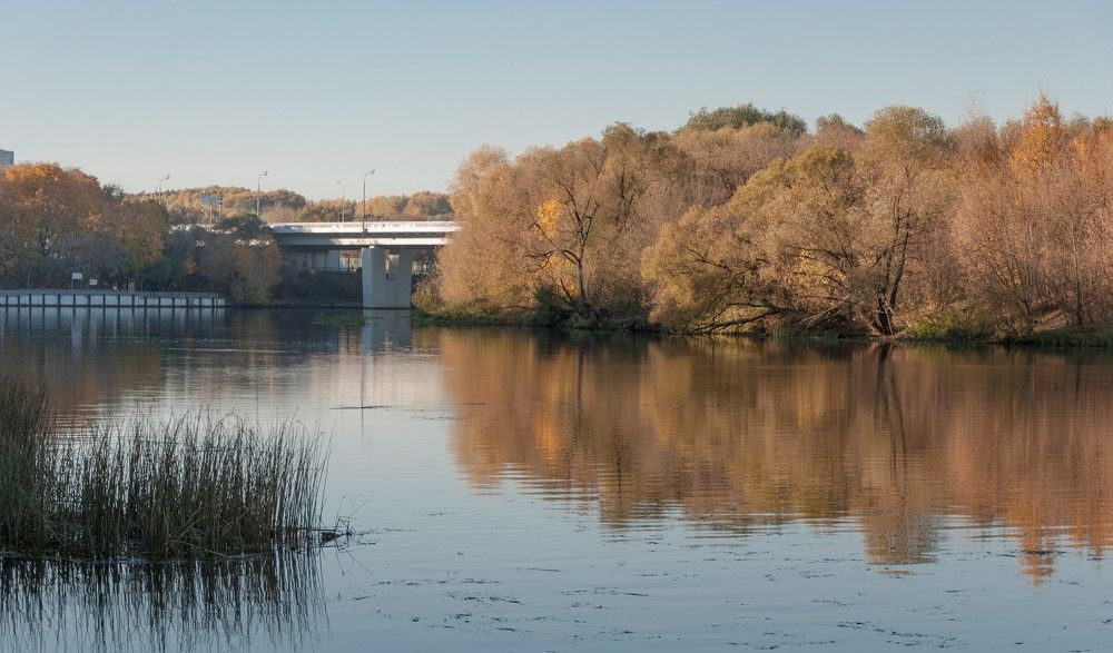 Photograph by Юлия Лис-а