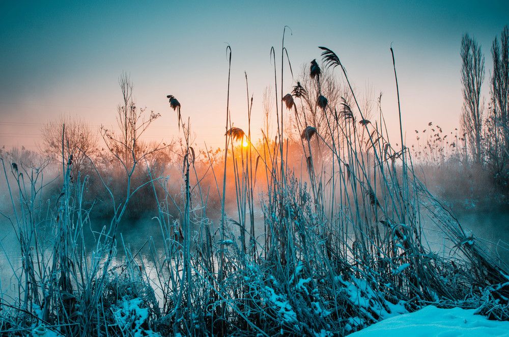 Фотография автора Сергей Рыженко