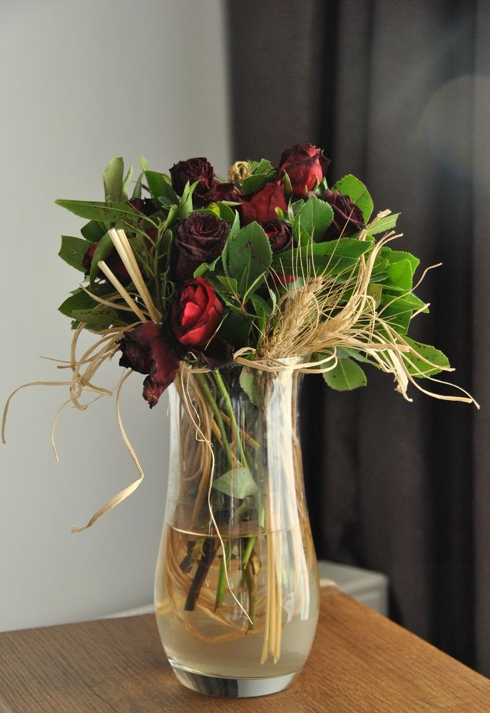 Фотография автора Виктория Карасу