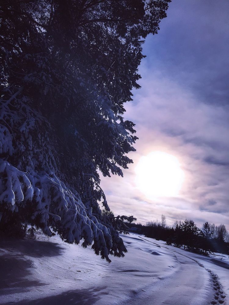 Photograph by Mary Ryzhenkova