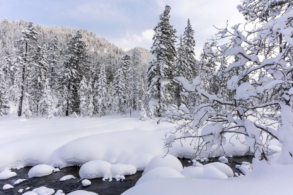 Photograph by Екатерина Просвирнина