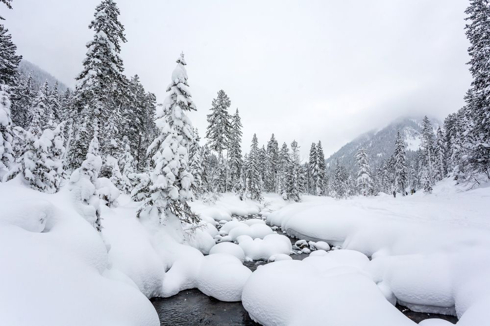 Photograph by Екатерина Просвирнина