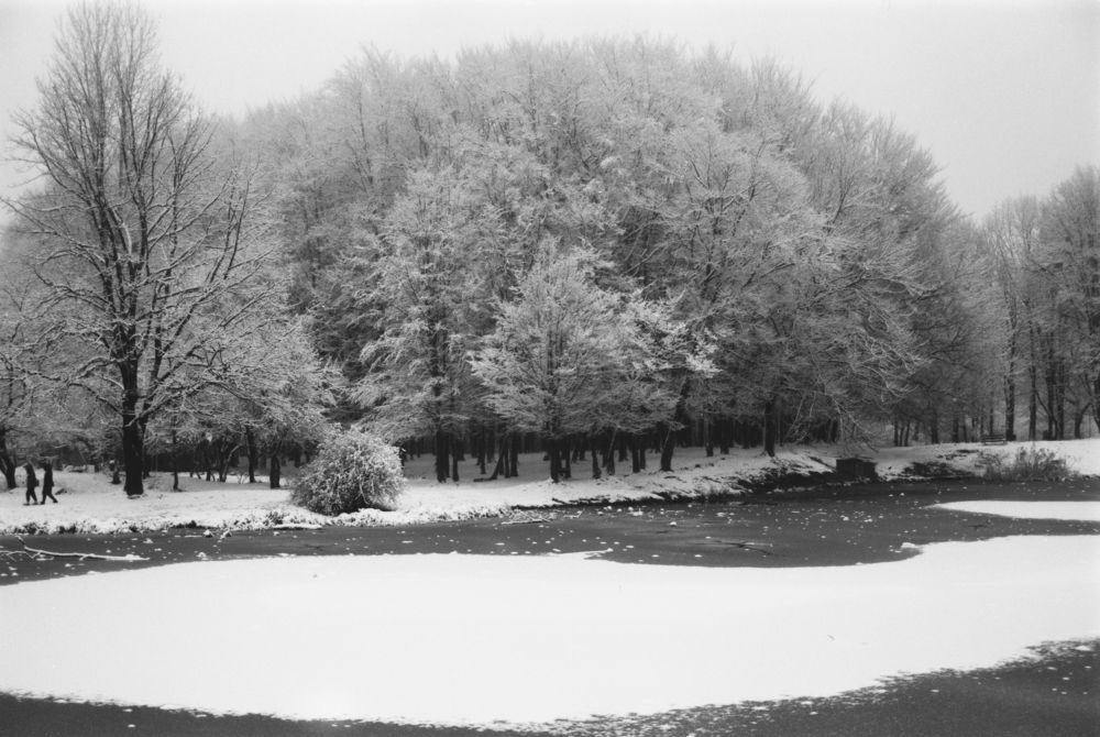 Photograph by Alexander Zvir