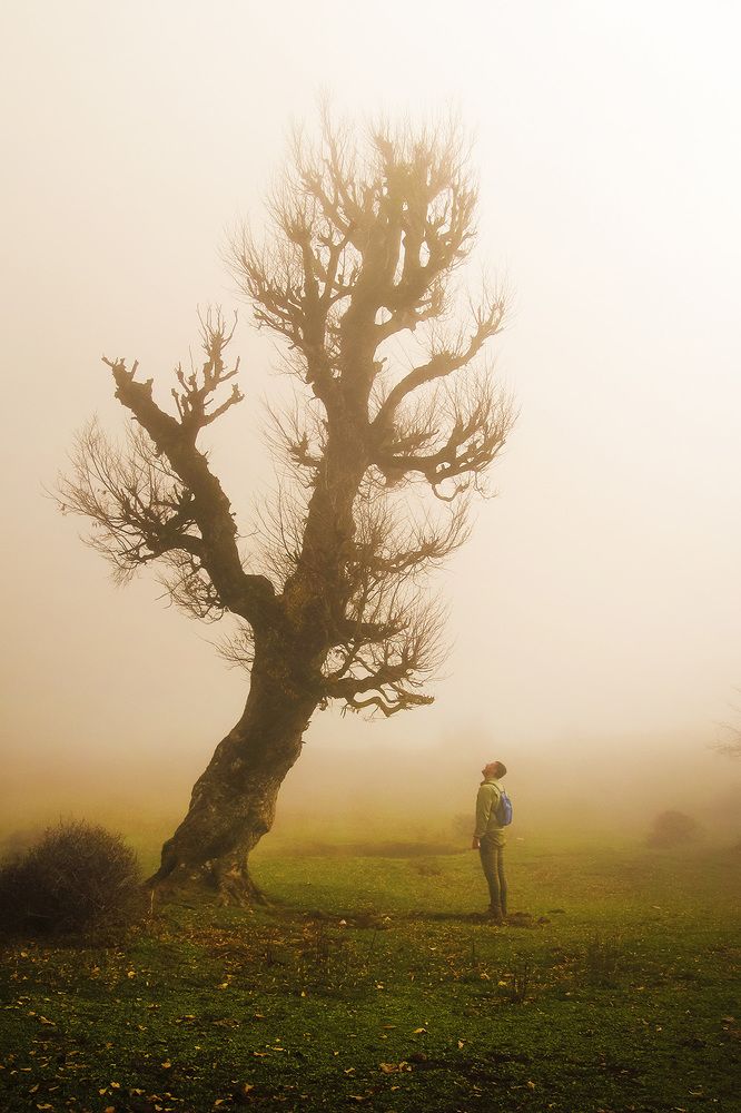 Photograph by ali aliam4x4