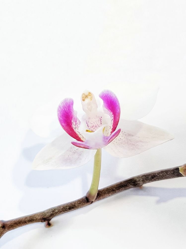 Photograph by Инесса Громова