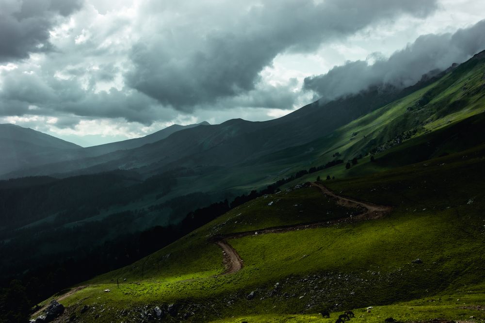 Photograph by Артем Васильев