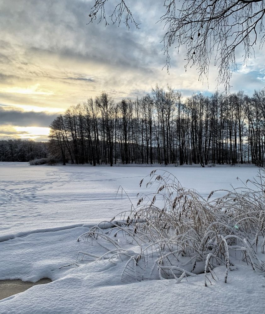 Photograph by Логинова Наталия