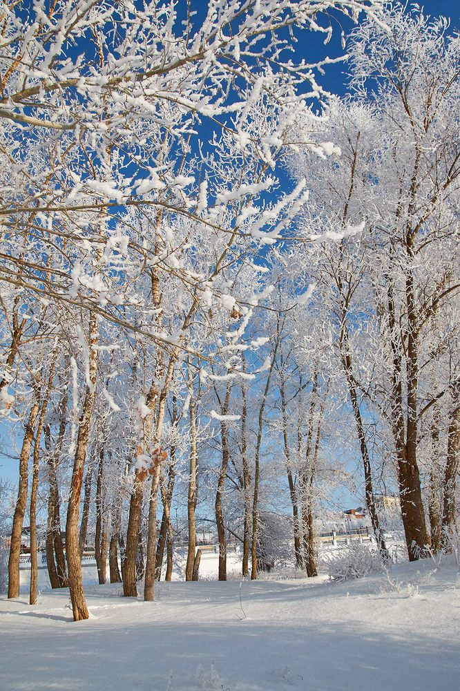 Photograph by Сергей Кириллов