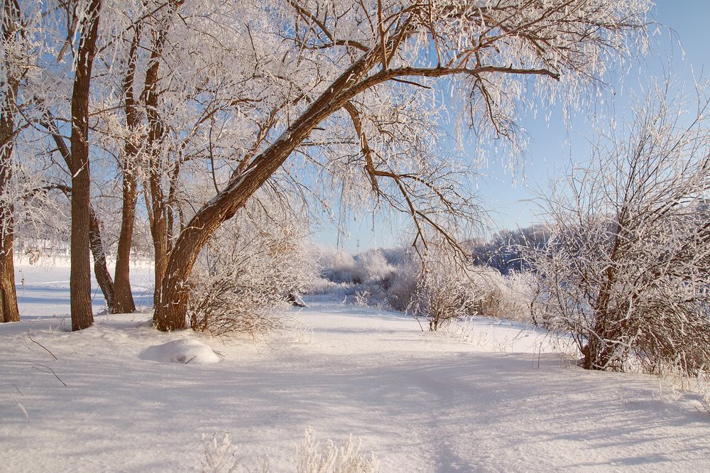 Photograph by Сергей Кириллов