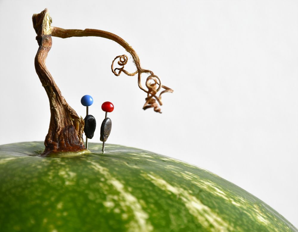 Фотография автора Татьяна Чугунова