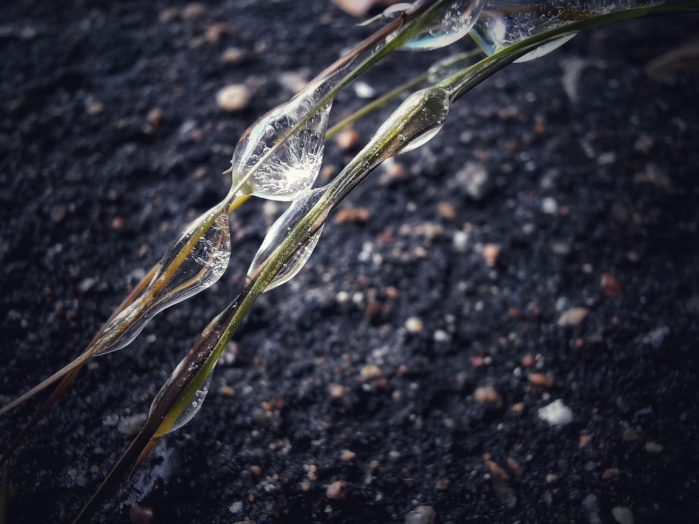 Застывший дождь