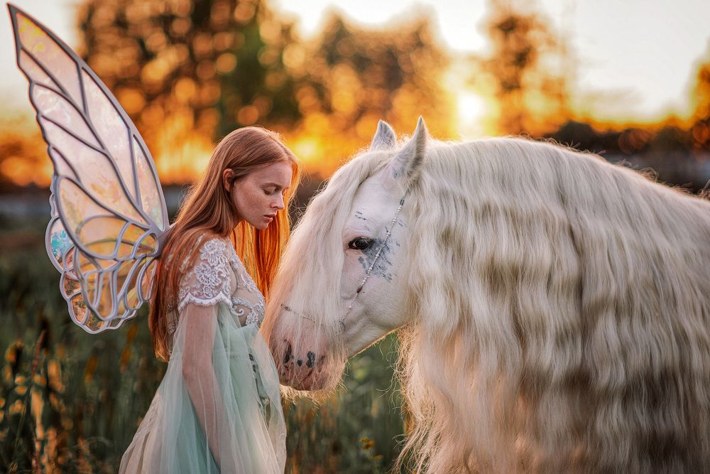 Сказочные сны