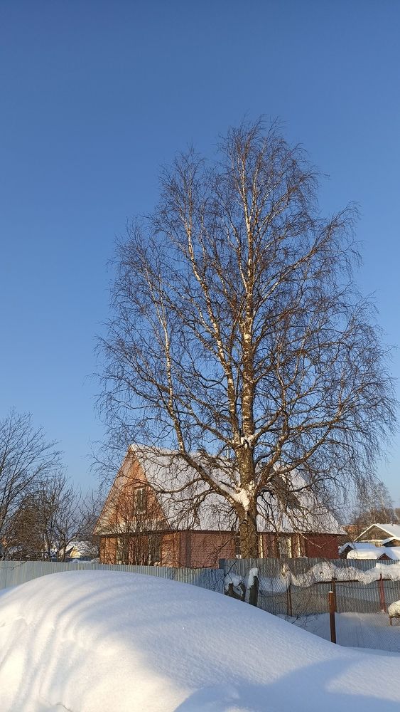 Photograph by Татьяна Власова