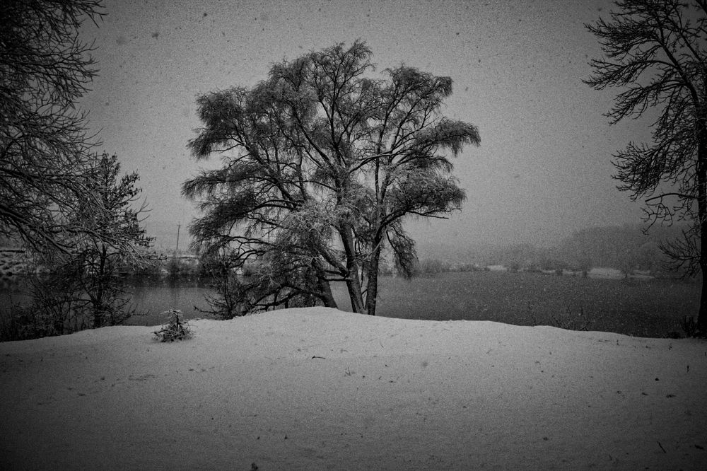 Photograph by Сергей Золотоверхий