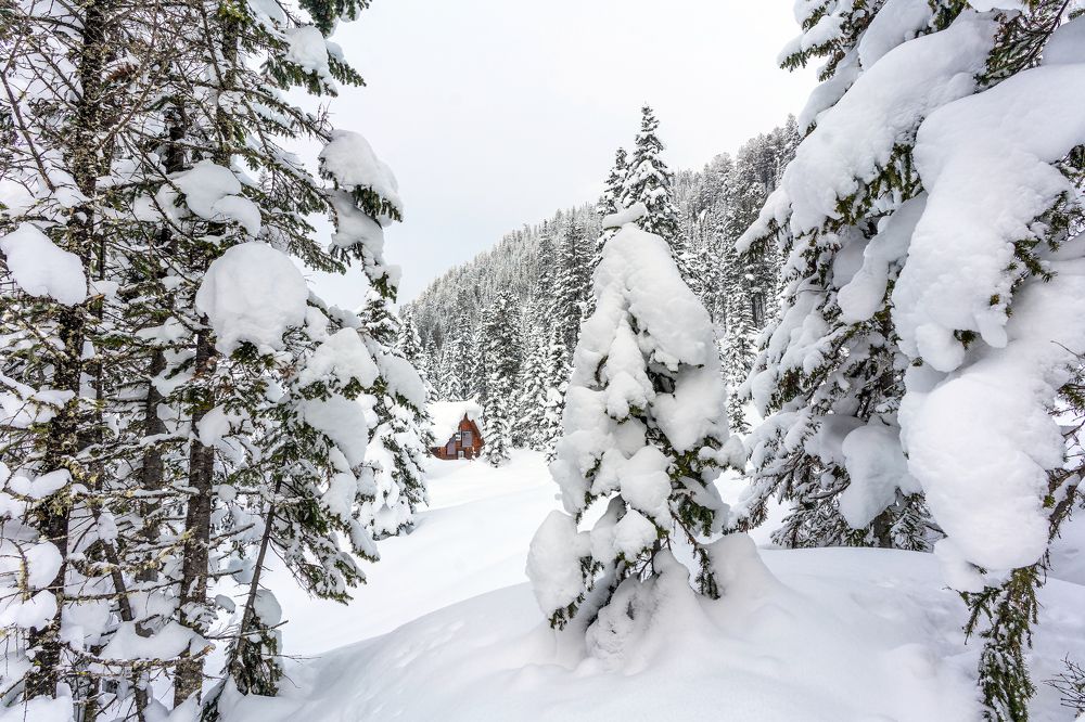 Photograph by Екатерина Просвирнина