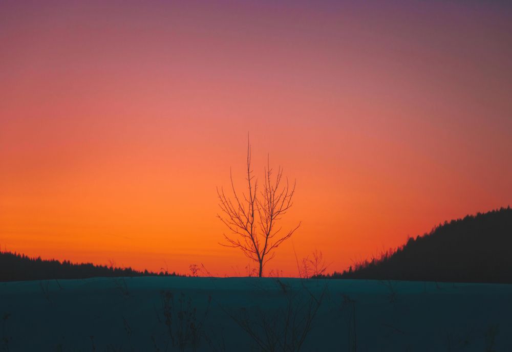 Фотография автора Котов Андрей