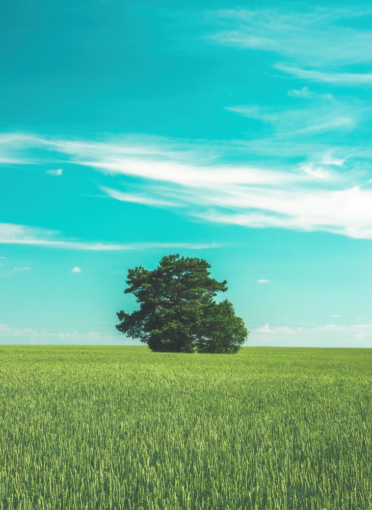 Фотография автора Котов Андрей