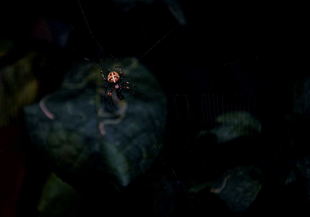 Photograph by Светлана Перминова