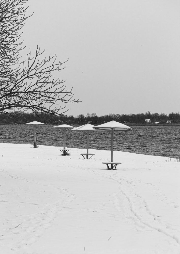 Photograph by Татьяна Алексеева