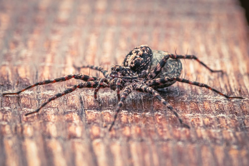 Photograph by Антон Парфентьев