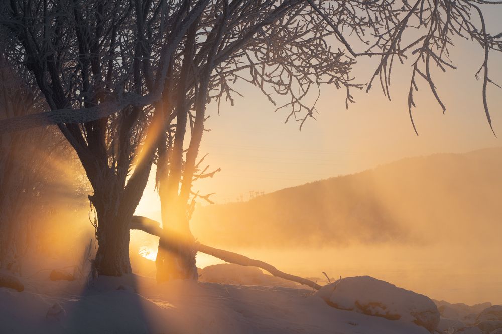 Photograph by Александр Нерозя