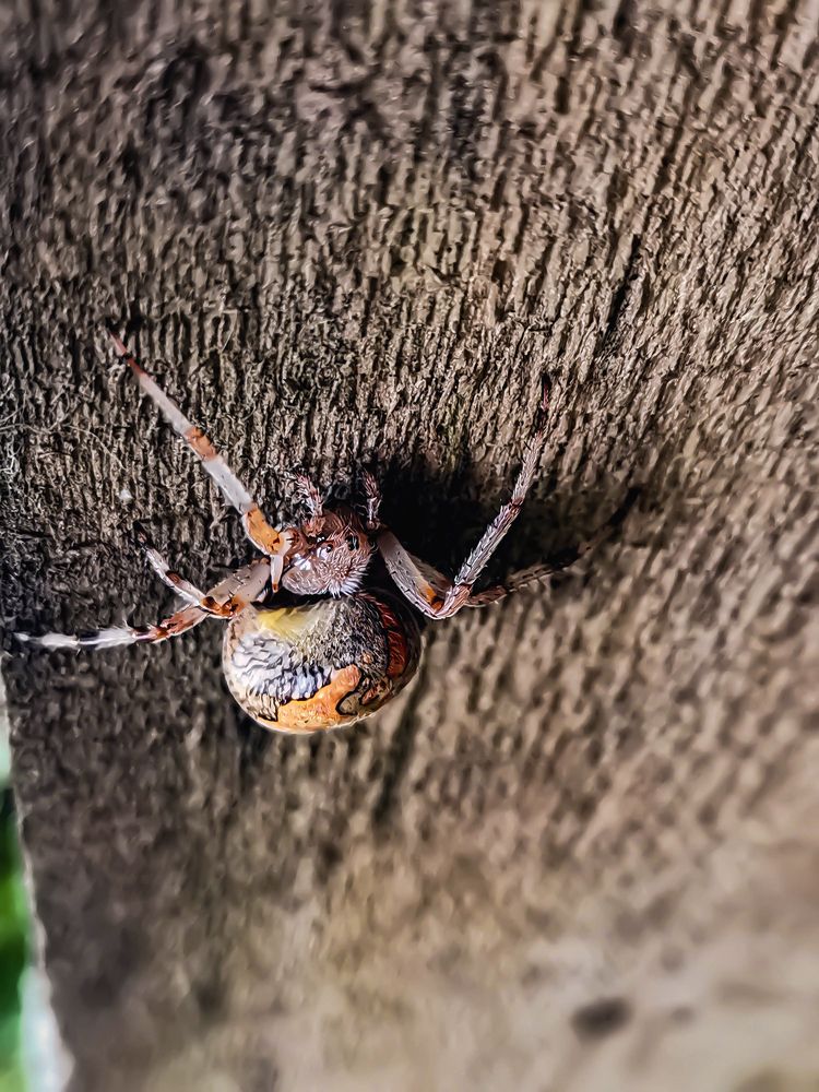 Photograph by Светлана Перминова