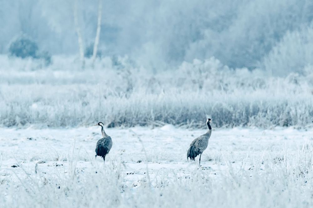 Photograph by Kamil Stępień