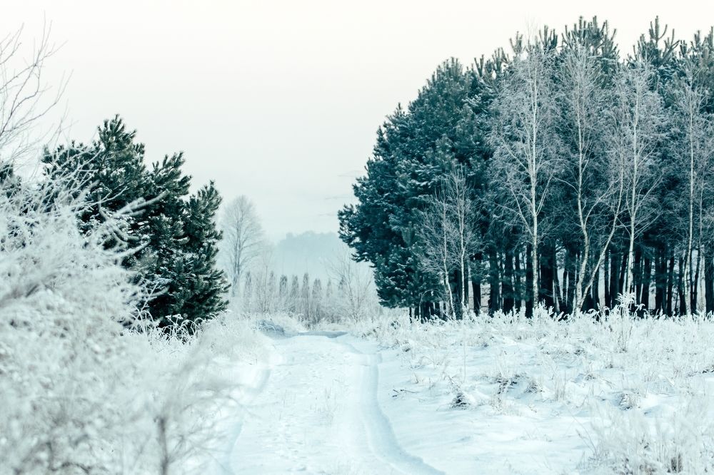 Photograph by Kamil Stępień