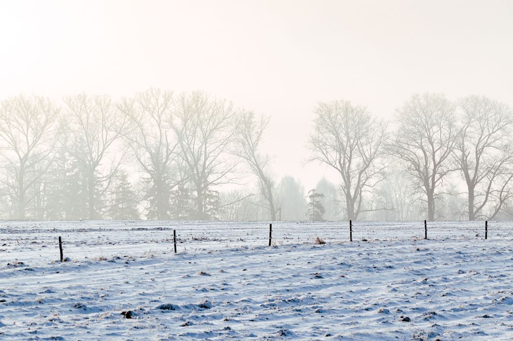 Photograph by Kamil Stępień