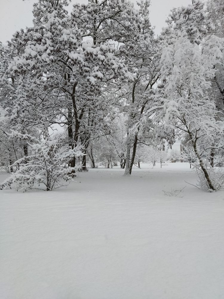 А за городом зима, зима, зима!!