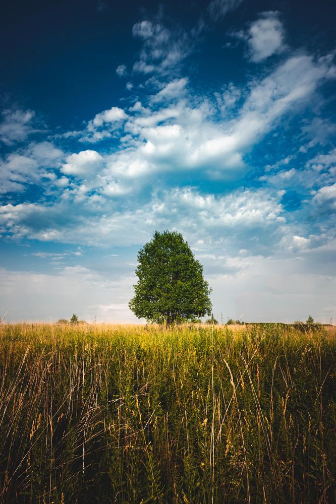 Фотография автора Котов Андрей