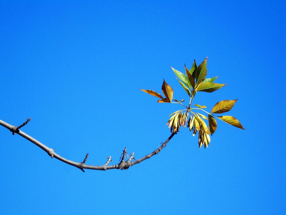 Photograph by Надежда Батракова