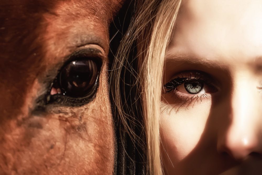 Фотография автора Маргарита Матвеенкова