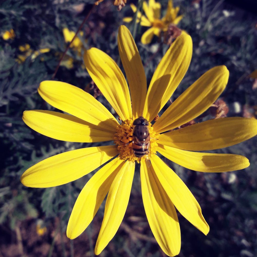 Photograph by Sedef Onum