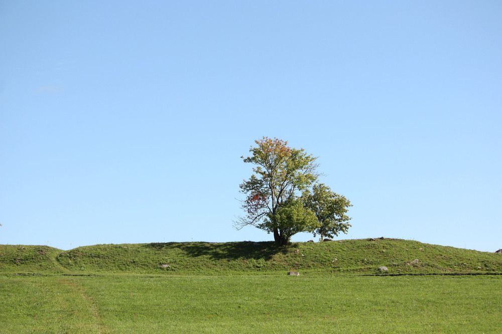 Photograph by Ларченкова Элина
